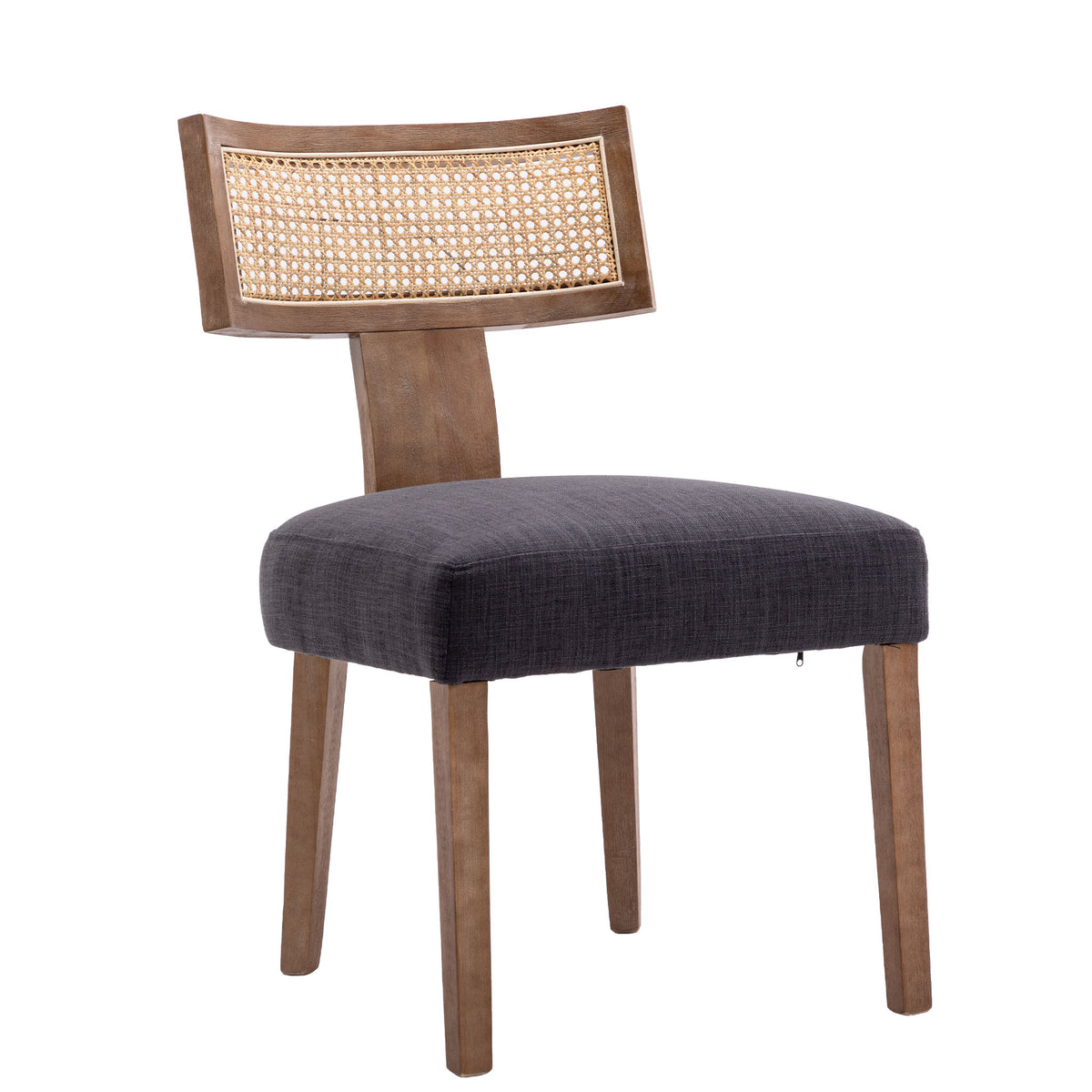Payson Modern Cane Dining Chairs (Set of 2)