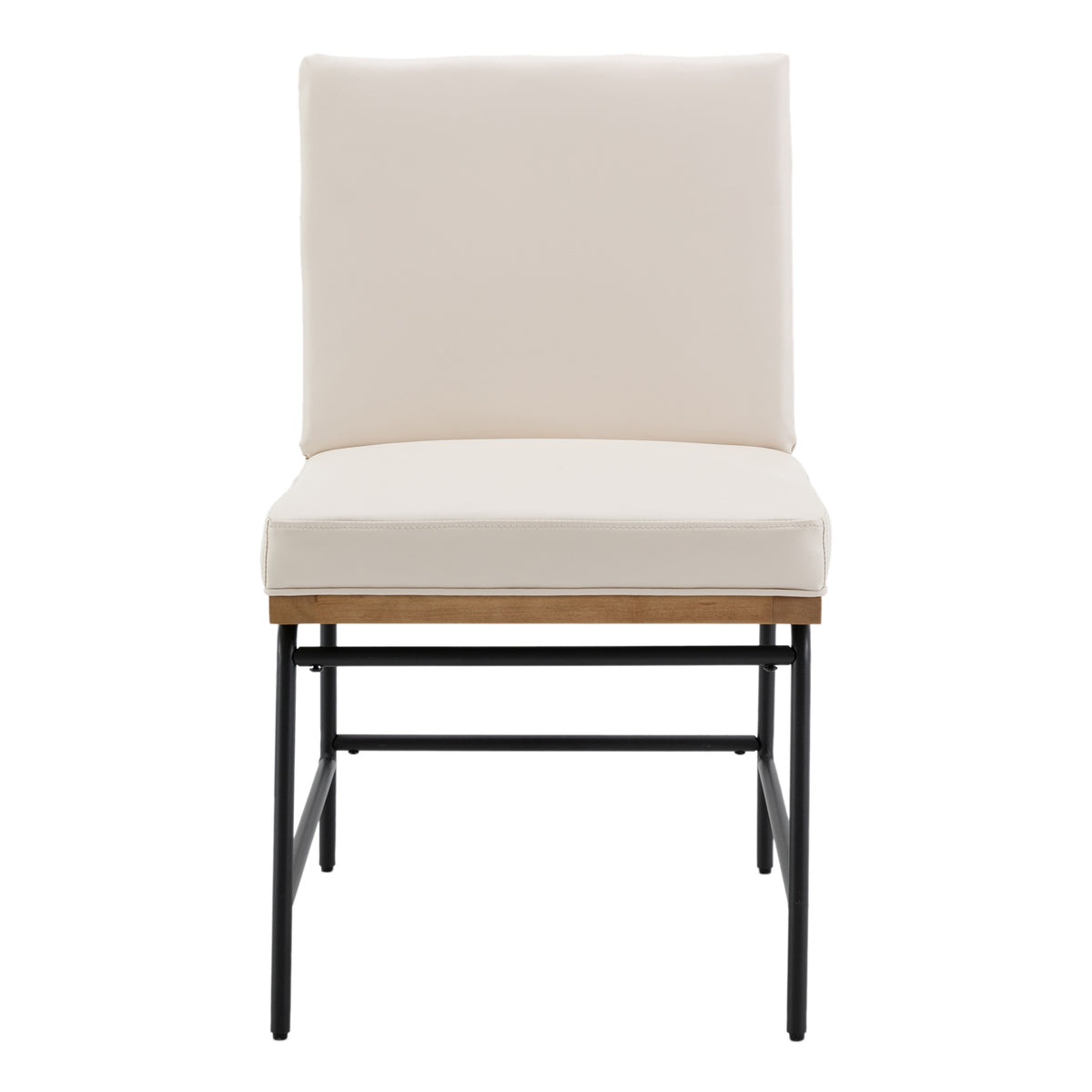 Ramsey Modern Industrial Dining Chairs (Set of 2)