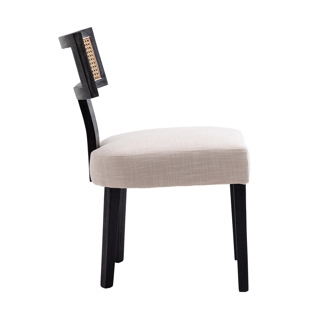 Payson Modern Cane Dining Chairs (Set of 2)